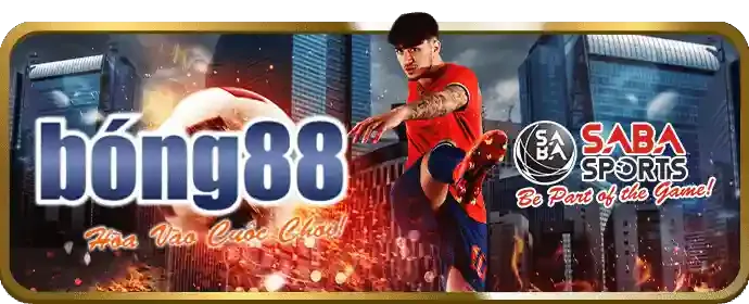 Thưởng nạp lại hàng ngày cho cá cược thể thao