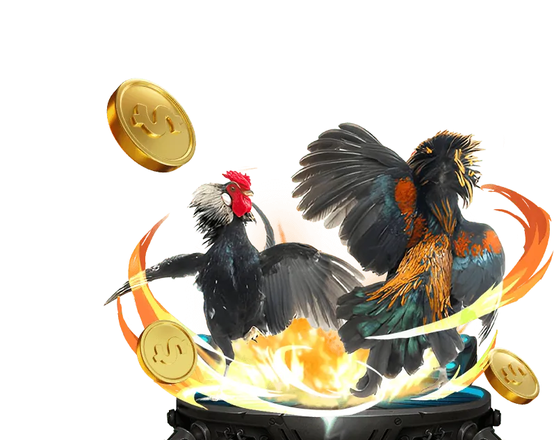 Giao diện cá cược đá gà trực tuyến trên điện thoại di động, hiển thị các trận đấu và tỷ lệ cược.